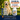 Ostinol® Advanced K-9